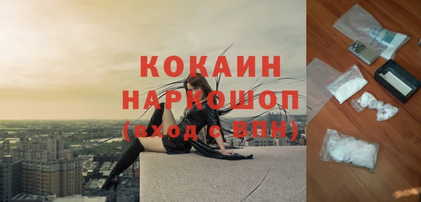 гидра Коряжма