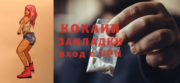 гидра Коряжма