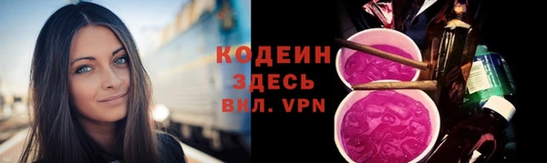гидра Коряжма