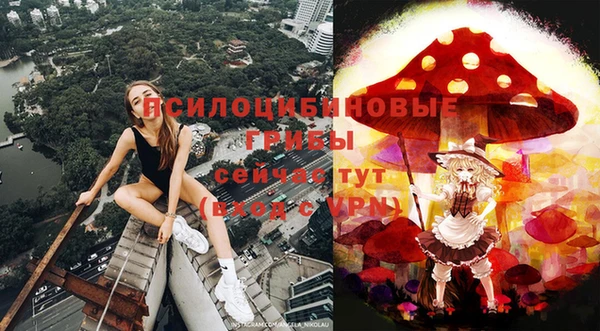 apvp Козловка